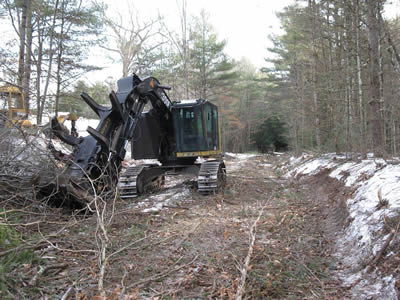 Bill King's tree clearing equipment
