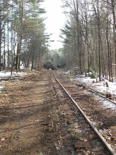Tree clearing along the rail trail
